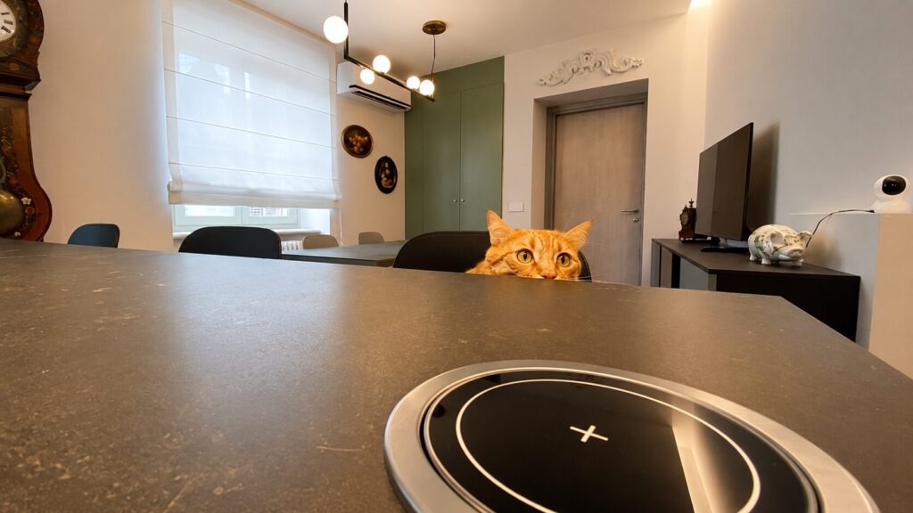 isola cucina con gatto
